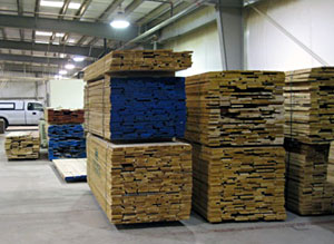 We stock a lot of different wood species